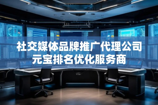 社交媒體品牌推廣代理公司元寶排名優(yōu)化服務商