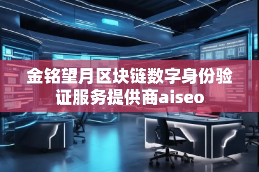 金銘望月區(qū)塊鏈數(shù)字身份驗證服務(wù)提供商aiseo