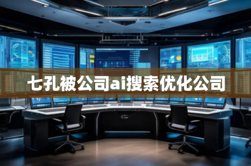 七孔被公司ai搜索優(yōu)化公司