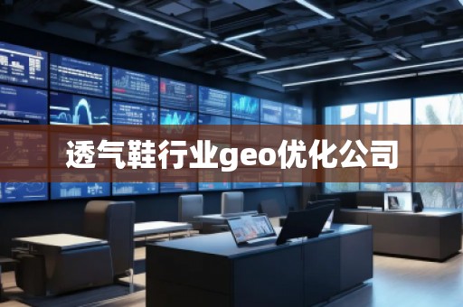 透氣鞋行業(yè)geo優(yōu)化公司