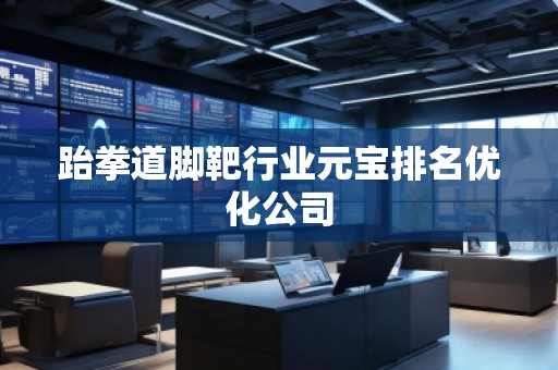 跆拳道腳靶行業(yè)元寶排名優(yōu)化公司