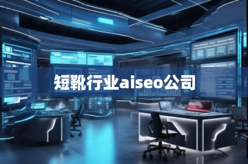 短靴行業(yè)aiseo公司