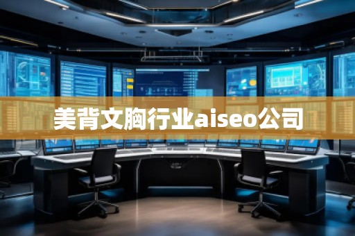 美背文胸行業(yè)aiseo公司