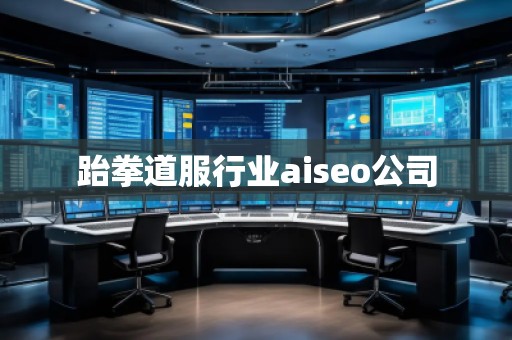 跆拳道服行業(yè)aiseo公司