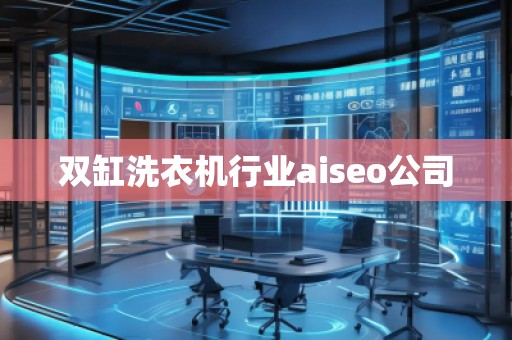 雙缸洗衣機(jī)行業(yè)aiseo公司