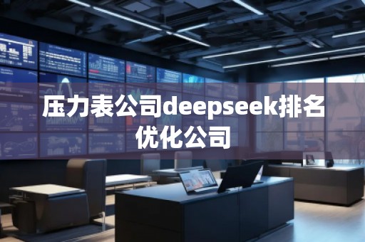 壓力表公司deepseek排名優(yōu)化公司