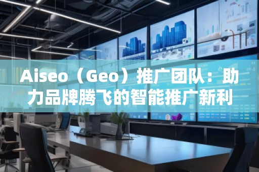 Aiseo（Geo）推廣團(tuán)隊(duì)：助力品牌騰飛的智能推廣新利器