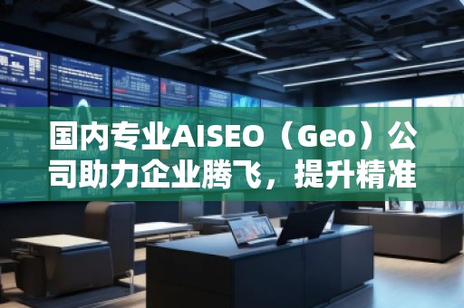 國內(nèi)專業(yè)AISEO（Geo）公司助力企業(yè)騰飛，提升精準(zhǔn)營銷效果