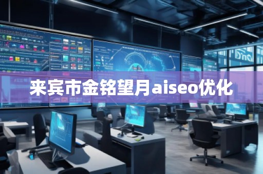 來賓市金銘望月aiseo優(yōu)化