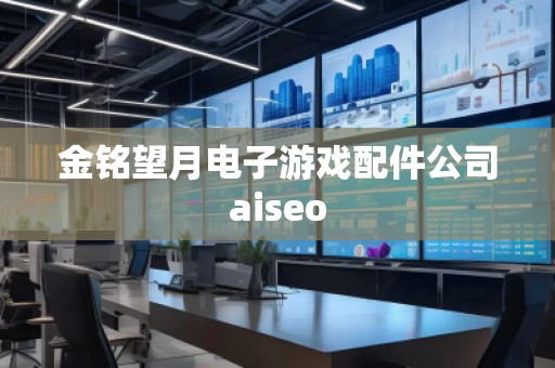 金銘望月電子游戲配件公司aiseo