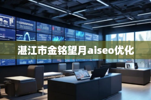 湛江市金銘望月aiseo優(yōu)化