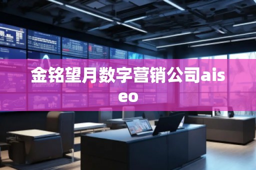 金銘望月數(shù)字營銷公司aiseo 金銘望月數(shù)字營銷公司aiseo