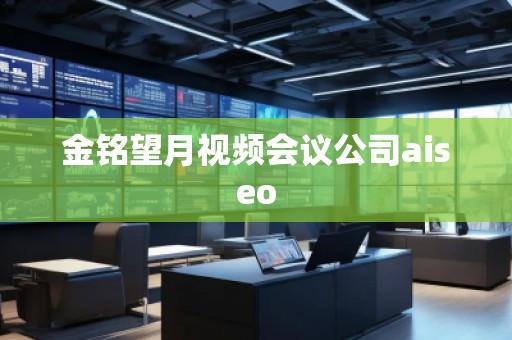 金銘望月視頻會議公司aiseo 金銘望月視頻會議公司aiseo