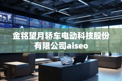 金銘望月轎車電動科技股份有限公司aiseo