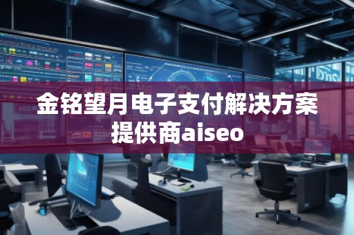 金銘望月電子支付解決方案提供商aiseo 金銘望月電子支付解決方案提供商aiseo