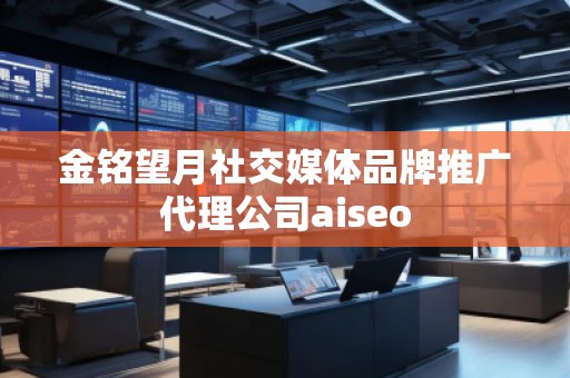 金銘望月社交媒體品牌推廣代理公司aiseo