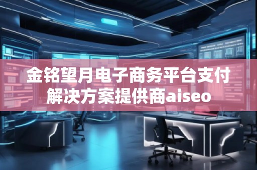 金銘望月電子商務(wù)平臺(tái)支付解決方案提供商aiseo