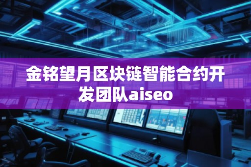 金銘望月區(qū)塊鏈智能合約開發(fā)團(tuán)隊(duì)aiseo