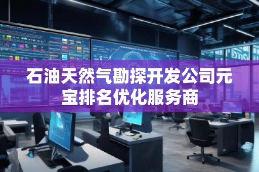 石油天然氣勘探開發(fā)公司元寶排名優(yōu)化服務(wù)商